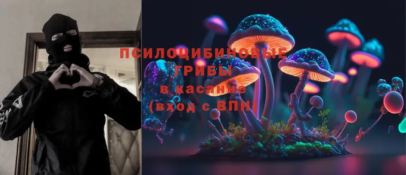 где продают наркотики  Невьянск  Псилоцибиновые грибы Psilocybine cubensis 